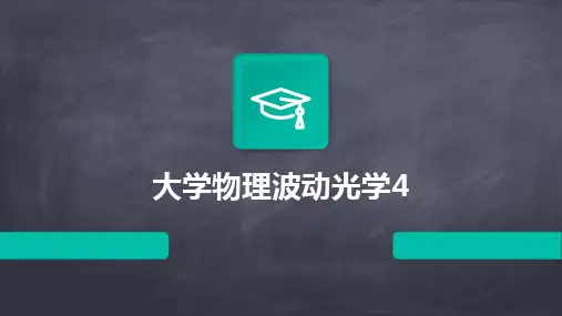 2024大学物理波动光学4