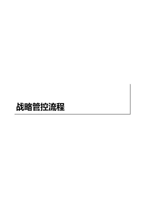 集团战略管控流程汇编
