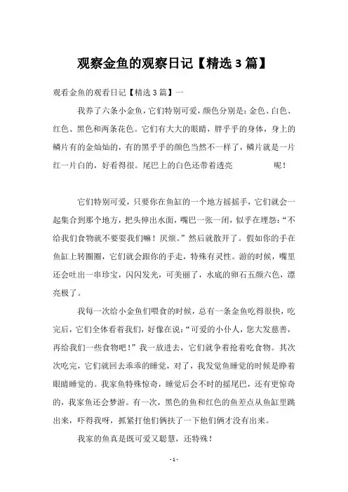 观察金鱼的观察日记【3篇】