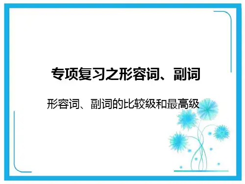 形容词、副词及其比较等级-专题讲解课件.ppt