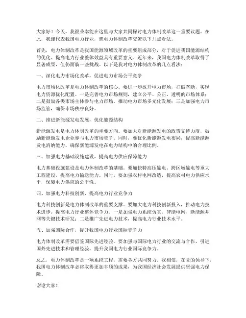 电力体制改革交流发言稿