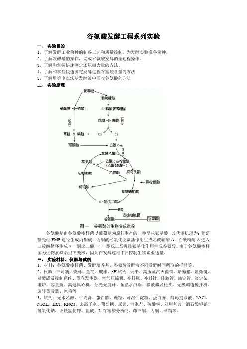 谷氨酸系列发酵实验