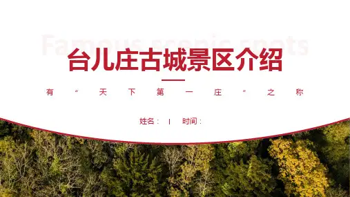 台儿庄古城景区介绍-台儿庄古城景点PPT(经典版)