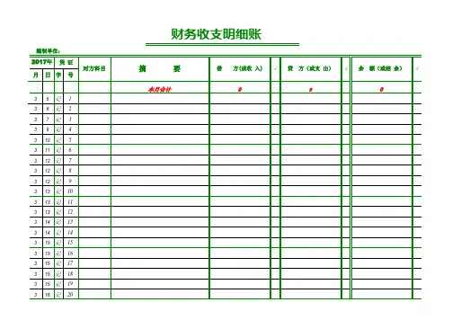 财务收支明细表excel表