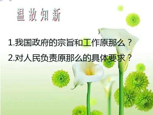 高中思想政治4.1政府的权力-依法行使优秀课件