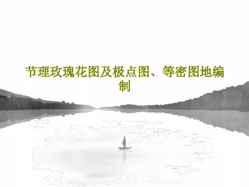 节理玫瑰花图及极点图、等密图地编制PPT29页