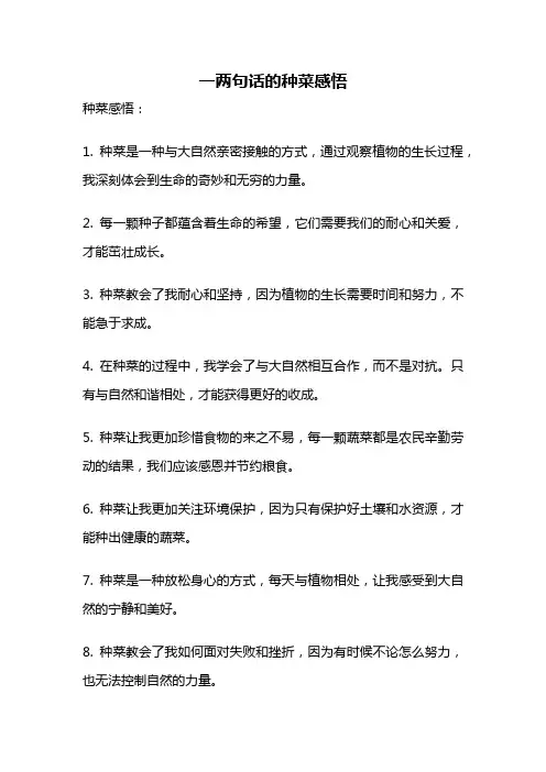 一两句话的种菜感悟