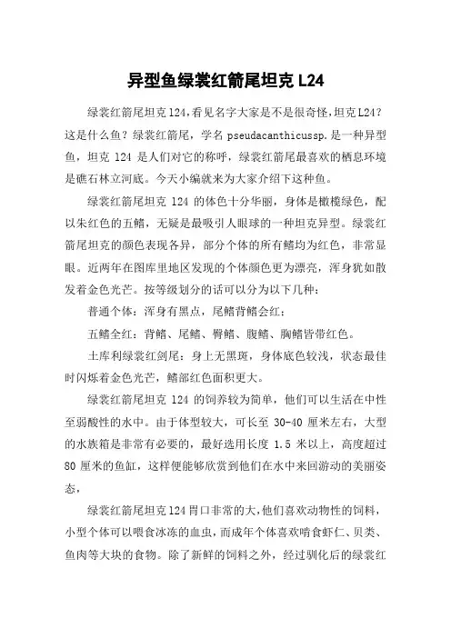 异型鱼绿裳红箭尾坦克L24