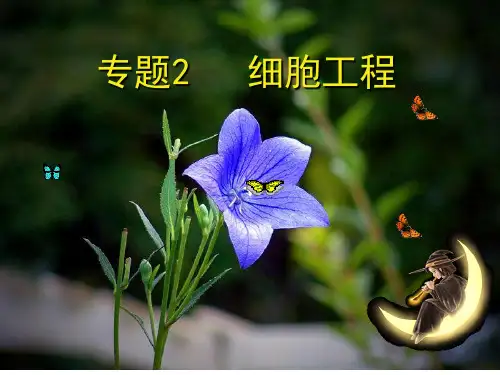 高中生物__植物细胞工程 PPT课件