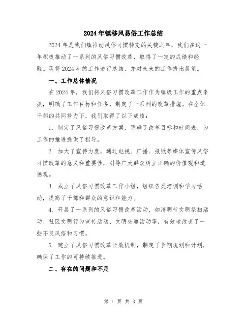 2024年镇移风易俗工作总结