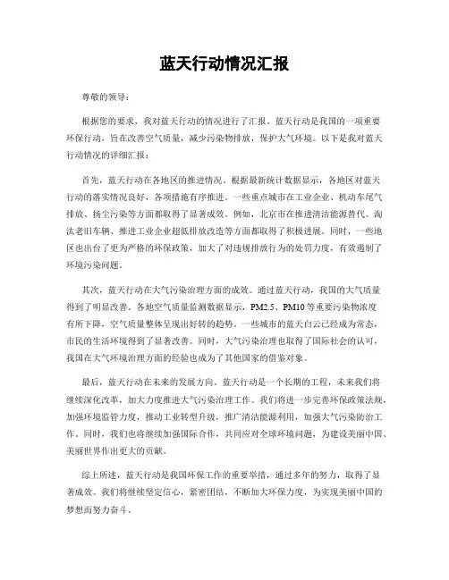蓝天行动情况汇报