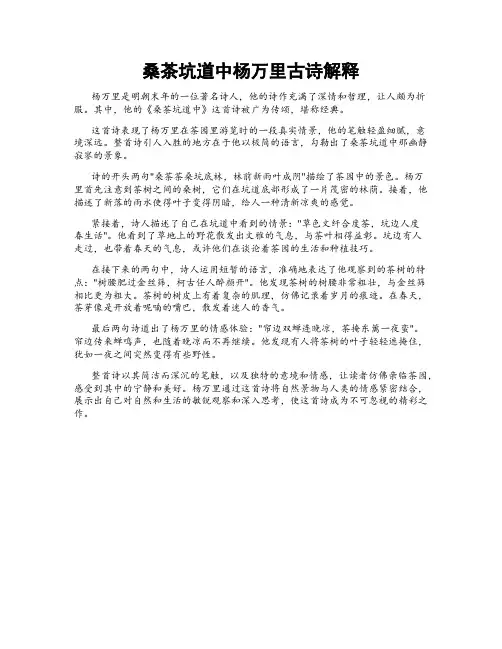 桑茶坑道中杨万里古诗解释