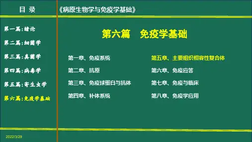 免疫学基础——主要组织相容性复合体