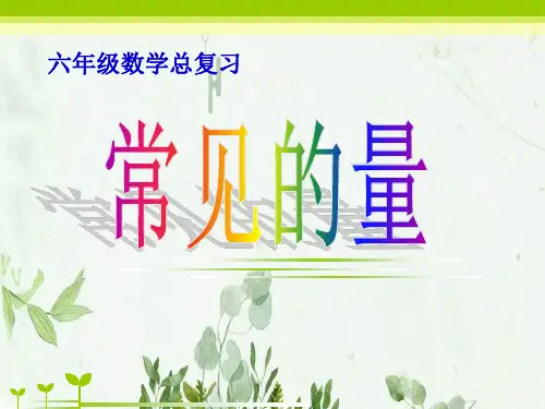 《常见的量》总复习PPT课件 图文