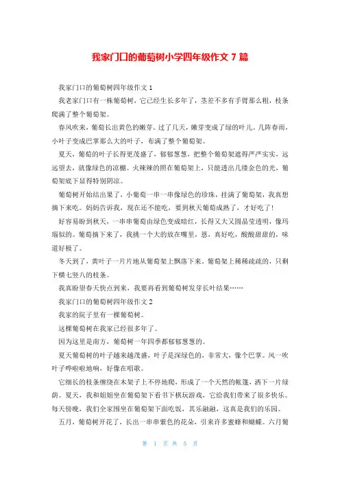 我家门口的葡萄树小学四年级作文7篇