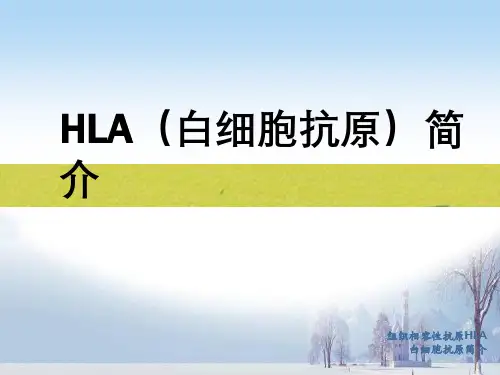 组织相容性抗原HLA白细胞抗原简介