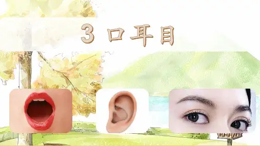 人教部编版口耳目课件 (共41张PPT)