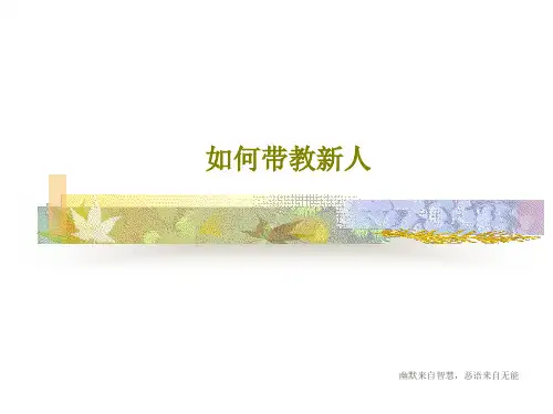 如何带教新人共33页