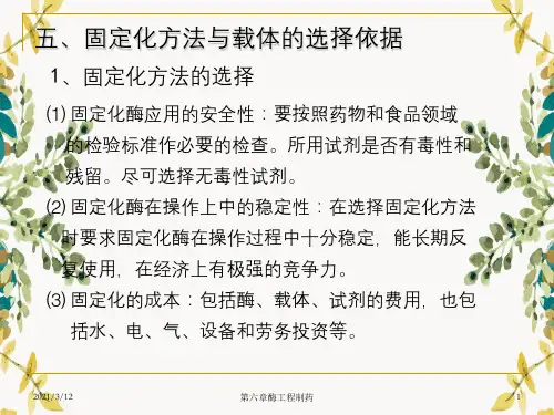 第六章酶工程制药