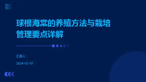 球根海棠的养殖方法与栽培管理要点详解