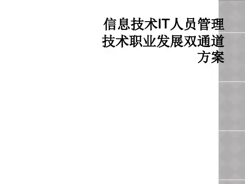 信息技术IT人员管理技术职业发展双通道方案