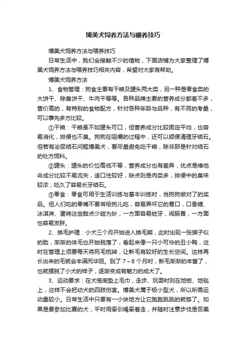 博美犬饲养方法与喂养技巧