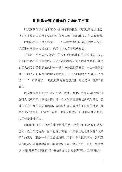 时间都去哪了精选作文800字五篇