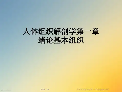 人体组织解剖学第一章绪论基本组织