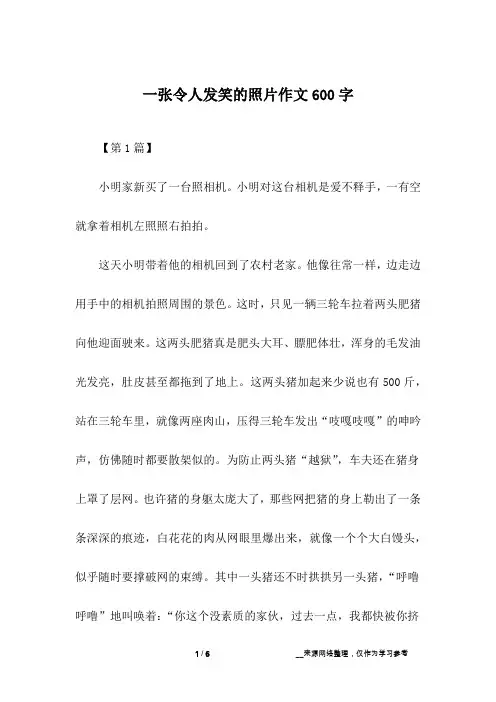 一张令人发笑的照片作文600字