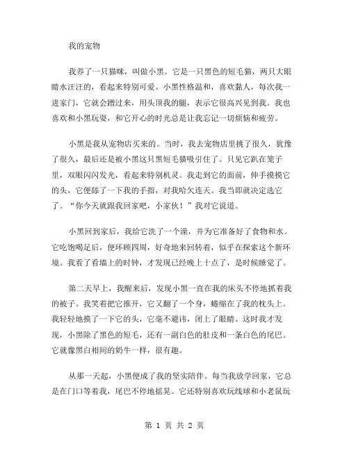 作文我的宠物范文