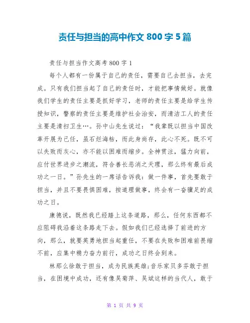 责任与担当的高中作文800字5篇