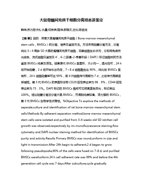 大鼠骨髓间充质干细胞分离培养及鉴定