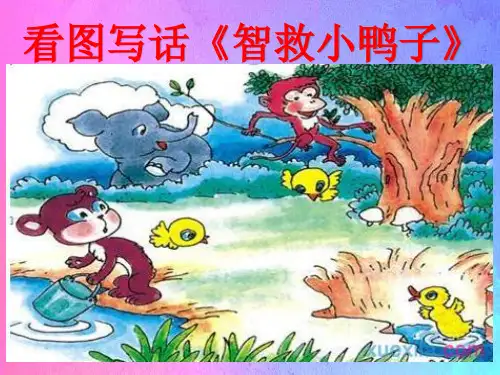 部编版语文二年级上册《看图写话：智救小鸭子,抓要素分重点记叙一件事》课件