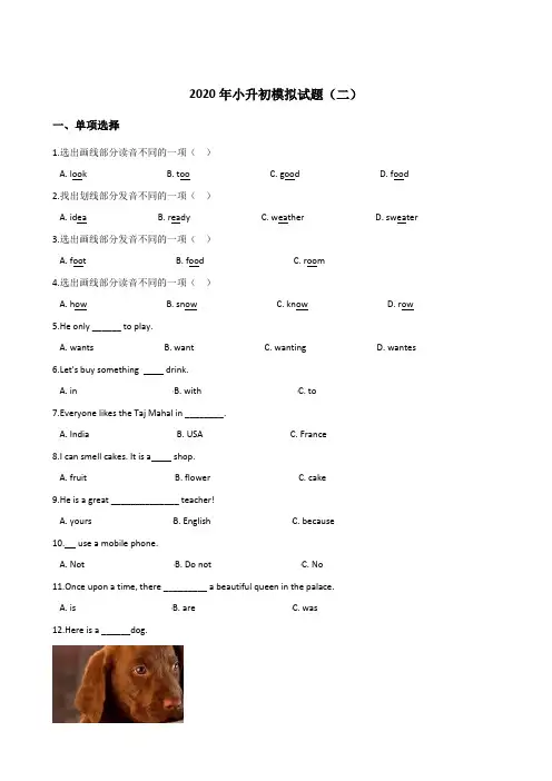 六年级下册英语试题--2020年小升初模拟试题(二)北京版(含答案)