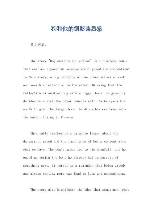 狗和他的倒影读后感