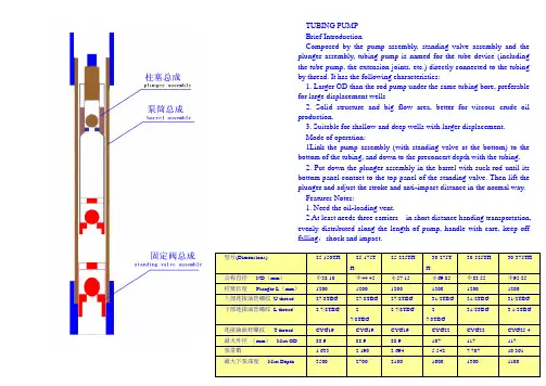 抽油泵使用说明书(英)
