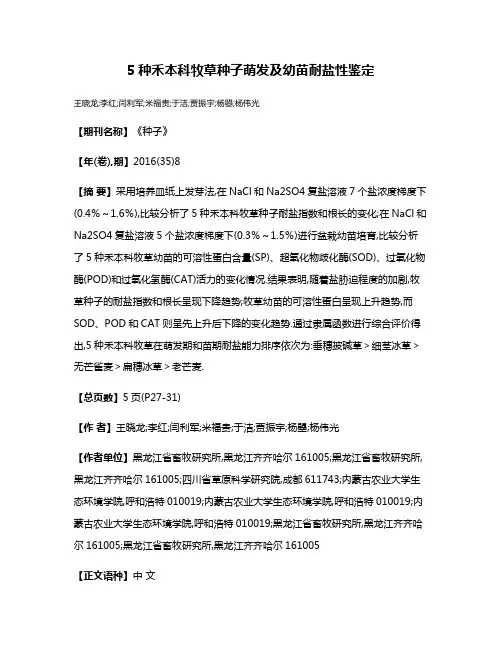 5种禾本科牧草种子萌发及幼苗耐盐性鉴定