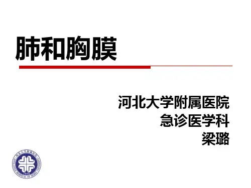 5.3 诊断学肺和胸膜 (一)视诊
