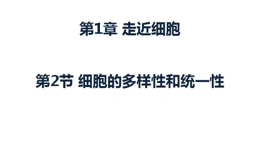 1.2 细胞的多样性和统一性--人教版高中生物必修一课件(共29张PPT)