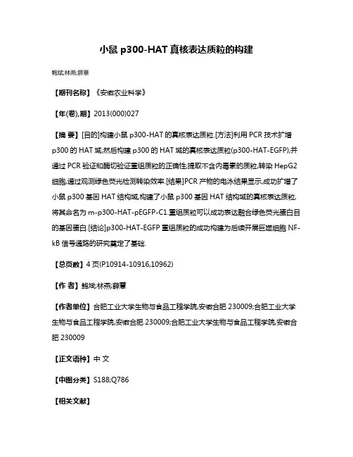 小鼠p300-HAT真核表达质粒的构建