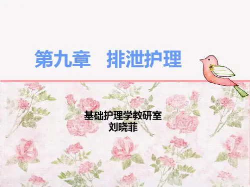 排便的护理课件
