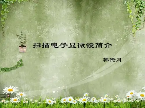 扫描电子显微镜简介 SEM