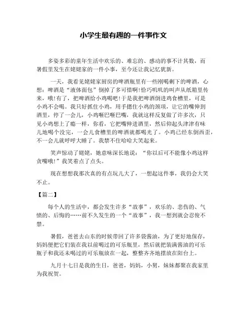 小学生最有趣的一件事作文