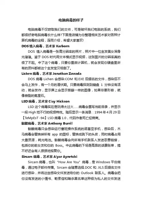 电脑病毒的样子