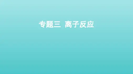山东专用2022届高考化学一轮复习专题三离子反应课件