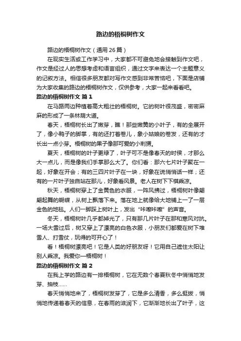 路边的梧桐树作文