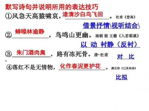 诗歌鉴赏：考点三表达技巧