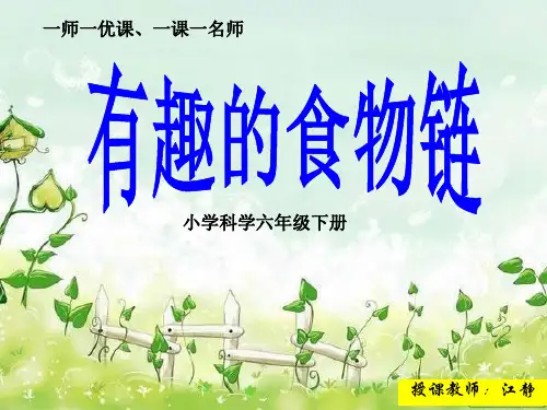 《有趣的食物链》PPT课件