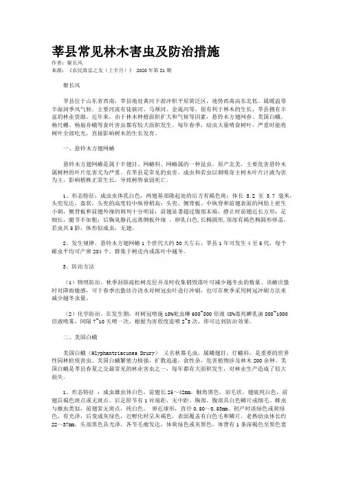 莘县常见林木害虫及防治措施