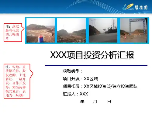 房地产项目投资分析汇报PPT(模版)